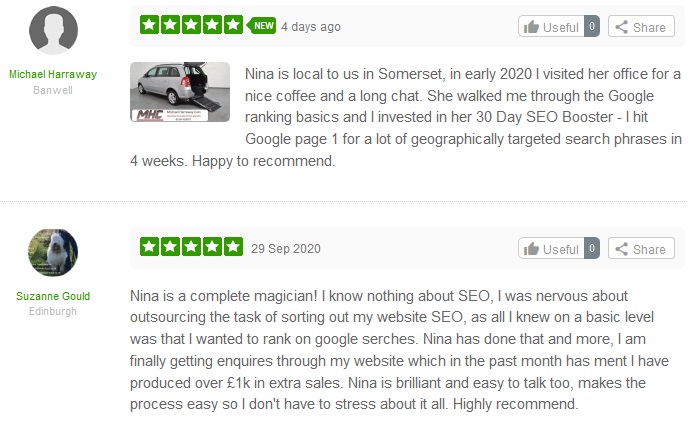 SEO Consultant Freelancer Reviews UK Google Disavow Website Redesign Domain Migration WordPress Magento Nina Payne November 18 2020