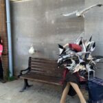 Weston-super-Mare SEO Local Google Somerset Ranking Specialist Dismaland Weston super Mare Banksy Tropicana Seagulls Bench