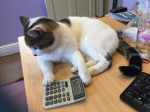 Office Cat SEO Lady Nina Payne